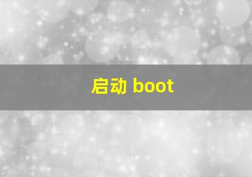 启动 boot